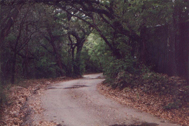 Country road take me home